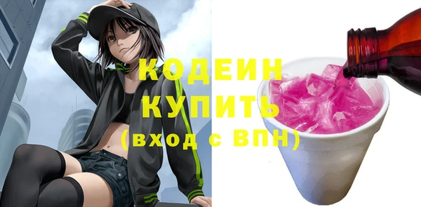 молекула духа Новозыбков