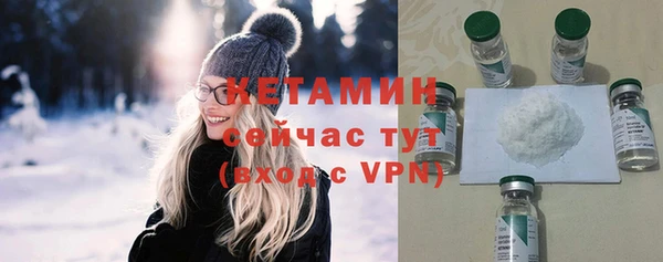 молекула духа Новозыбков