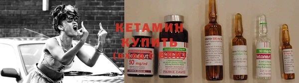 молекула духа Новозыбков