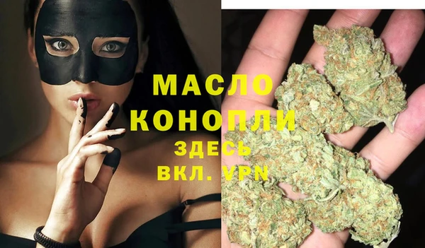 молекула духа Новозыбков