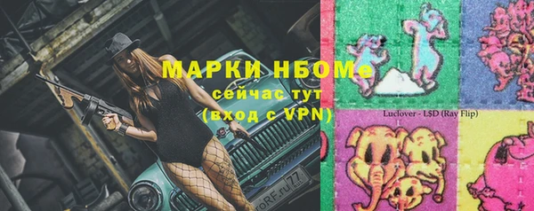 молекула духа Новозыбков