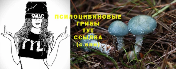 молекула духа Новозыбков