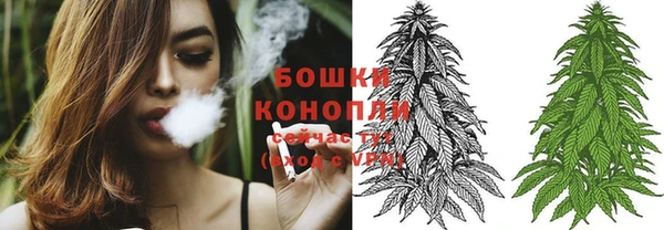 молекула духа Новозыбков