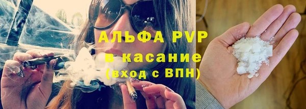 молекула духа Новозыбков
