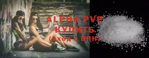 молекула духа Новозыбков