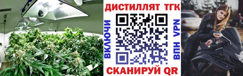ТГК Wax  даркнет сайт  Владивосток 