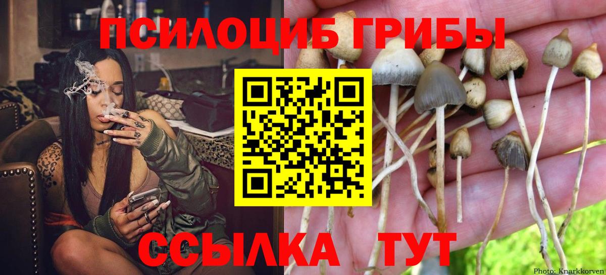 Псилоцибиновые грибы Magic Shrooms Владивосток