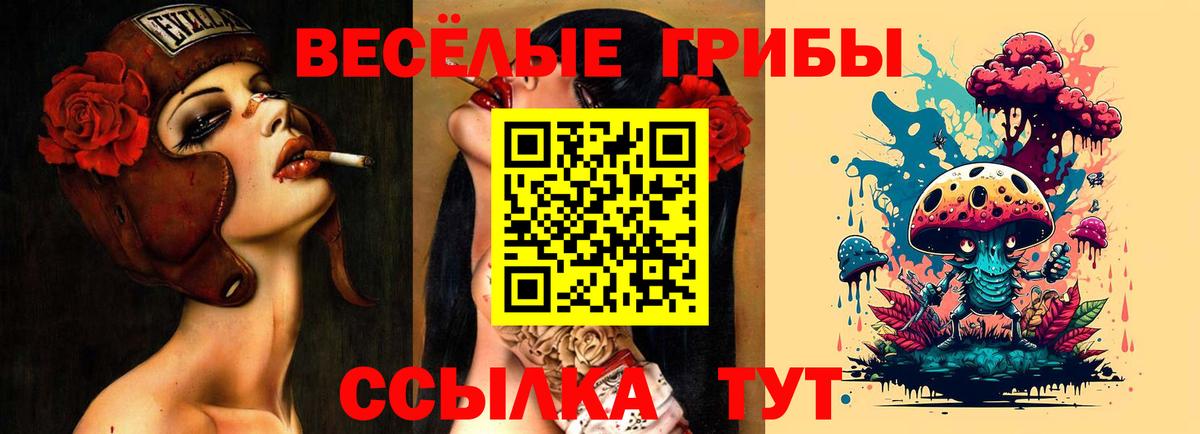 Галлюциногенные грибы Psilocybine cubensis  Вход с VPN  Владивосток 