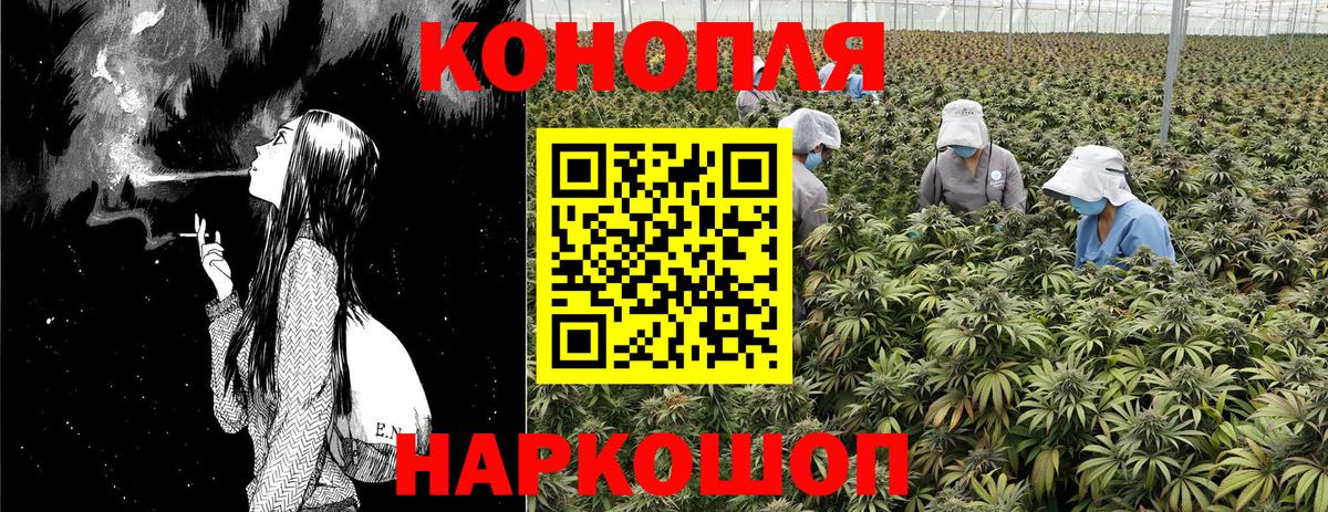 Шишки марихуана OG Kush Владивосток